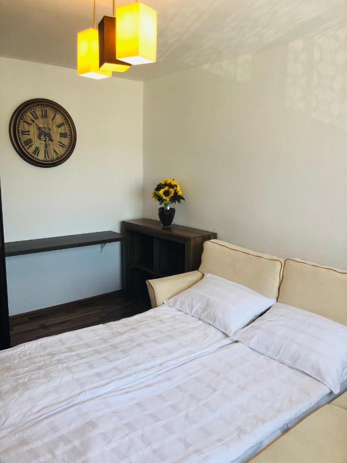 Little Cute Homey Apartman Satu Mare Ngoại thất bức ảnh
