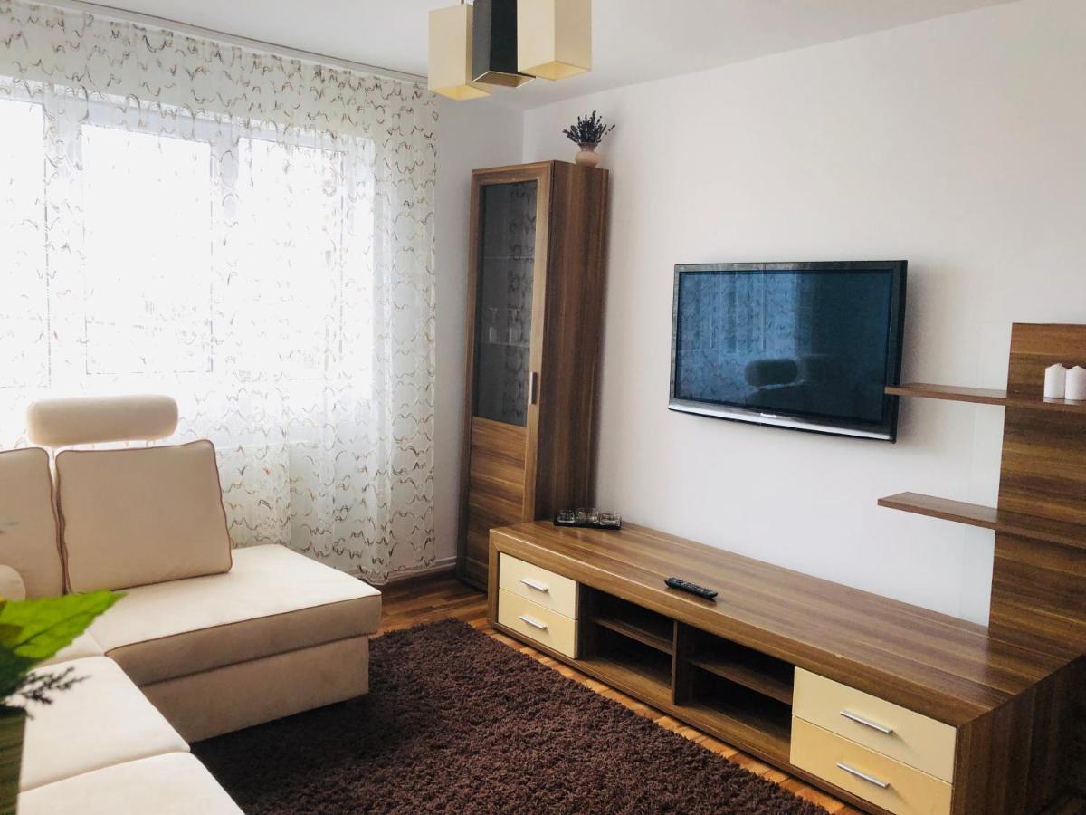 Little Cute Homey Apartman Satu Mare Ngoại thất bức ảnh